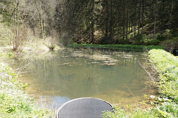 2024-04-27 Exkursion Fadenmolch Frankenwald 01_Jan Ebert