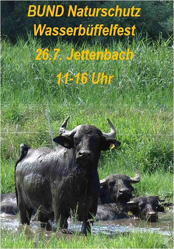 Büffelfest 2025